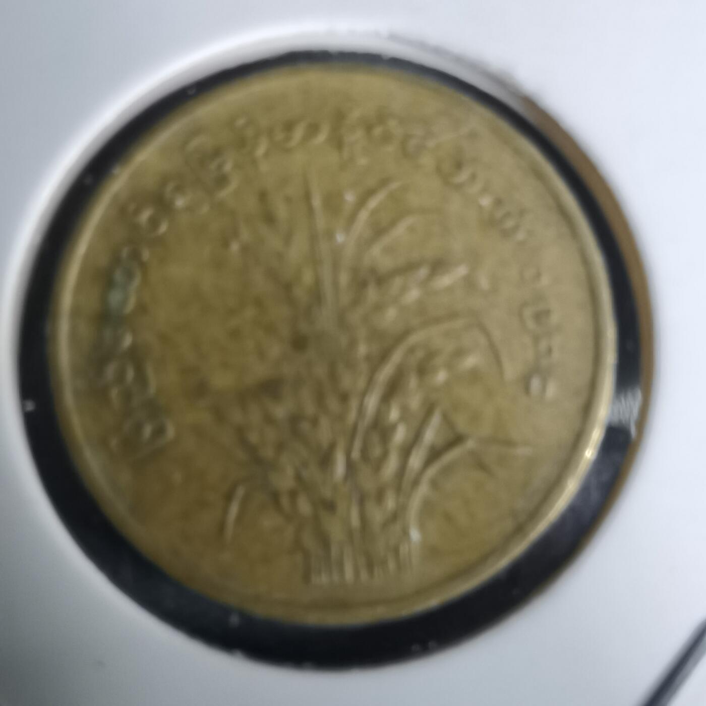 沼泽如烟--第994场 缅甸