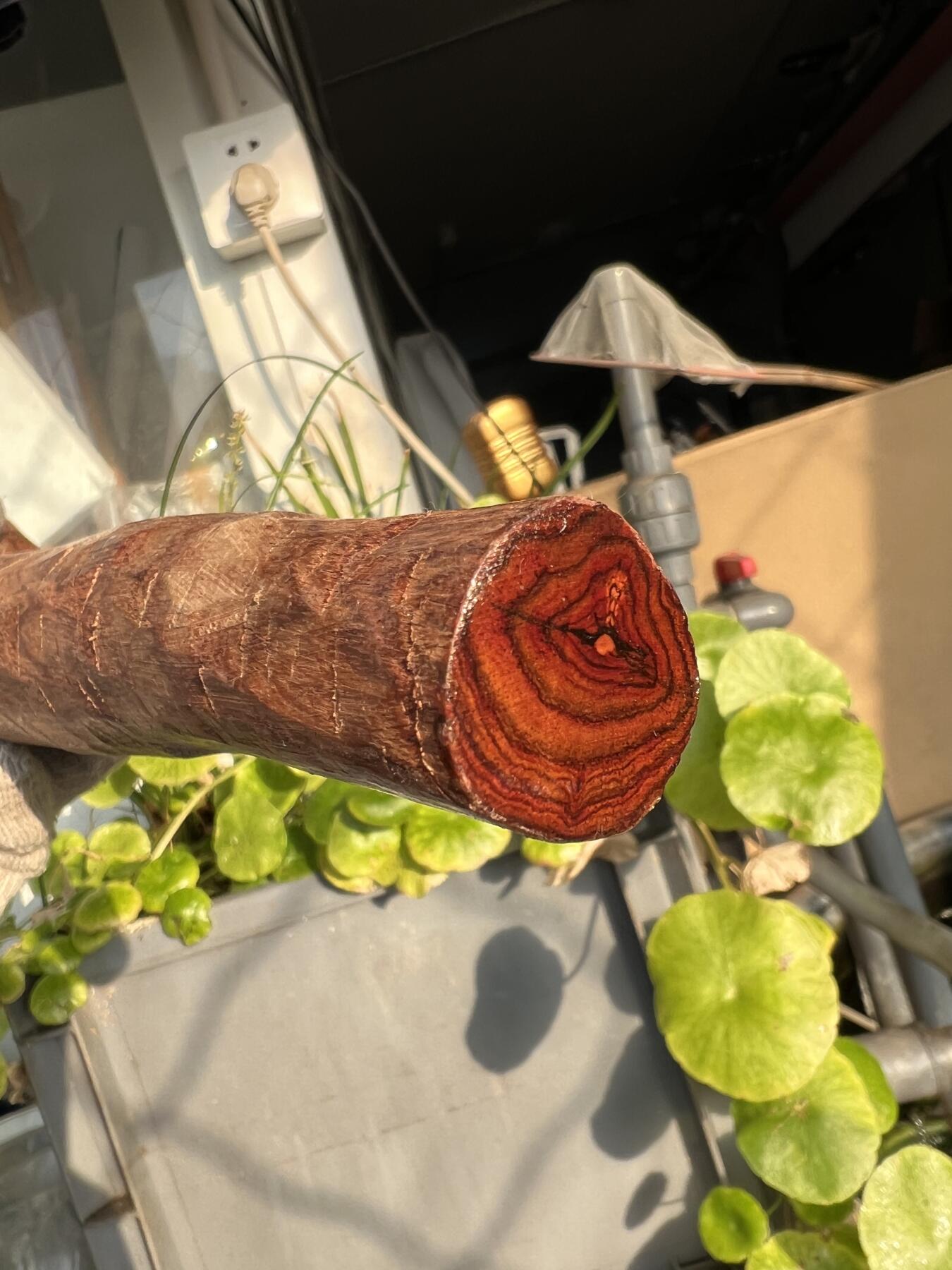 零元拍：NO.1-90海南黄花梨珠子把件料，外面白皮基本都去掉了，红肉打底花纹鬼眼很漂亮。360/40/24MM