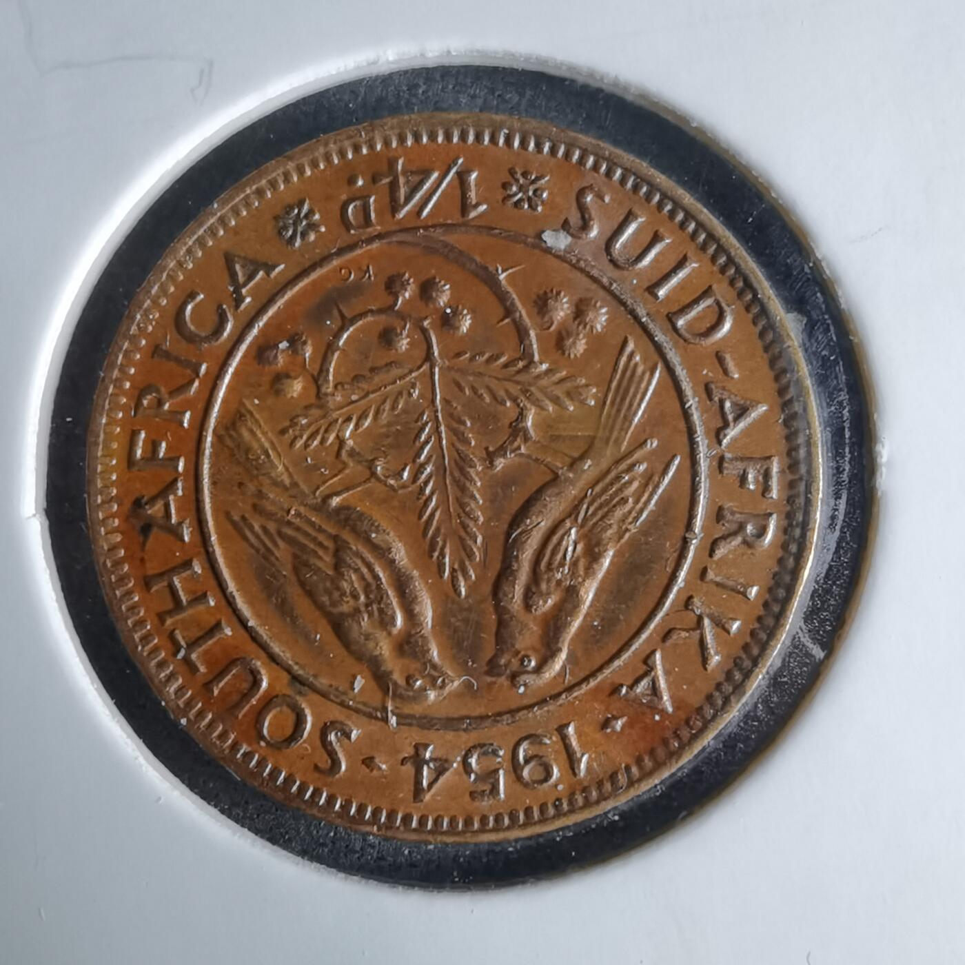 沼泽如烟--第995场 南非1954年四分之一便士