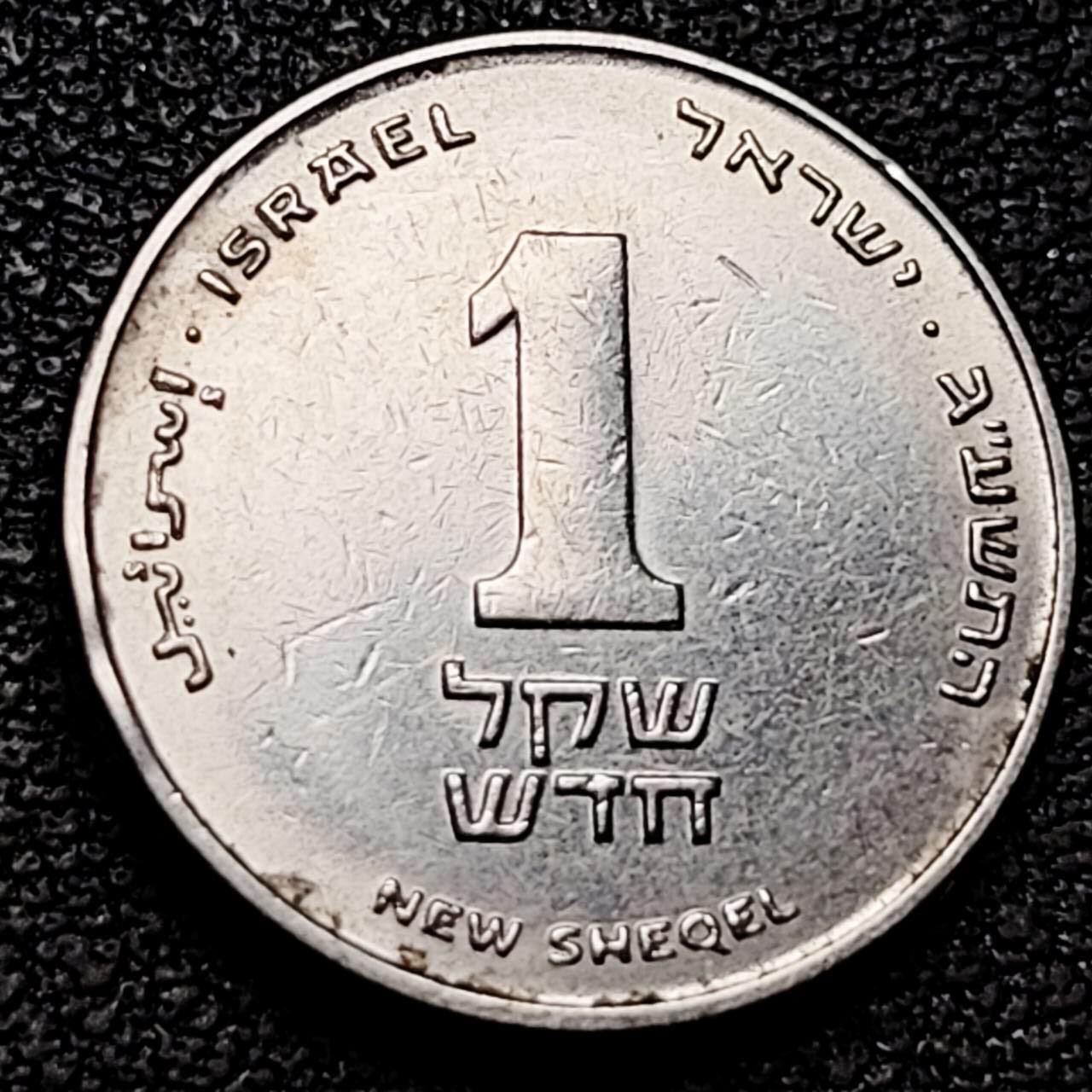 泉币菌-第192场- 除夕专场-新年快乐 本场拍品多 请提前出价（年后发货） 以色列1新谢克尔铜镍币  18.0毫米 4.05克 