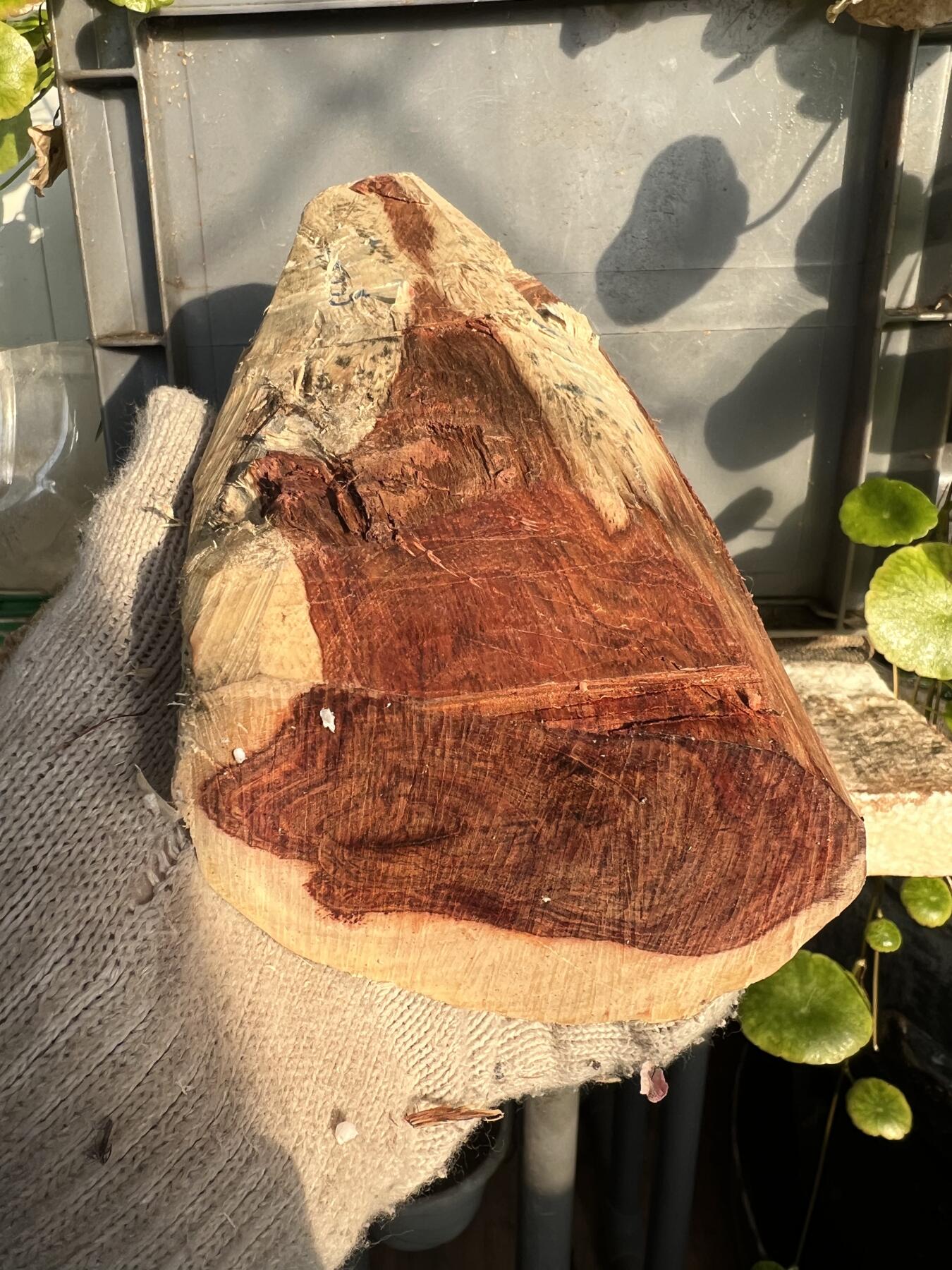 零元拍：NO.2-88海南黄花梨，根料，细腻花纹紧实，快到紫梨的感觉。185/90/40MM