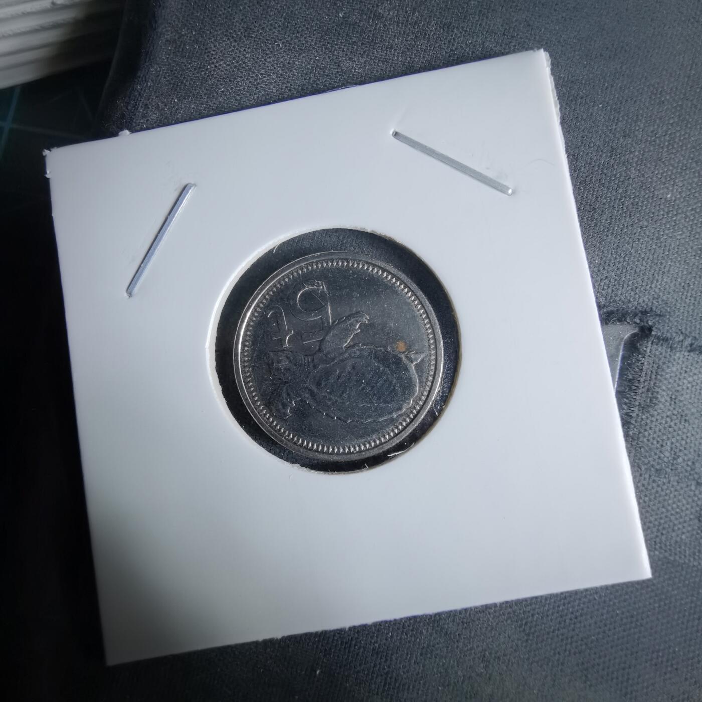 沼泽如烟--第995场