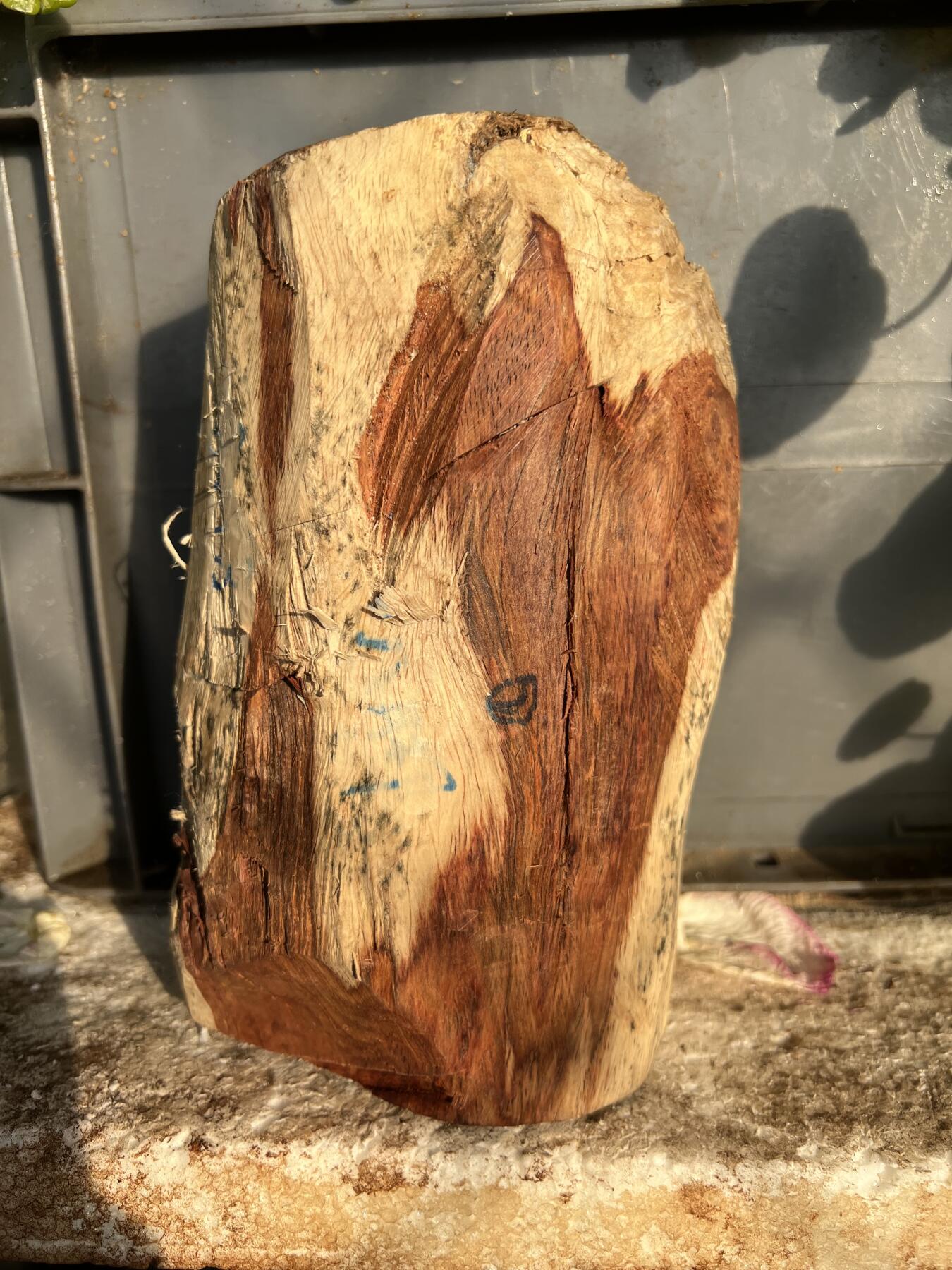 零元拍：NO.2-88海南黄花梨，根料，细腻花纹紧实，快到紫梨的感觉。185/90/40MM