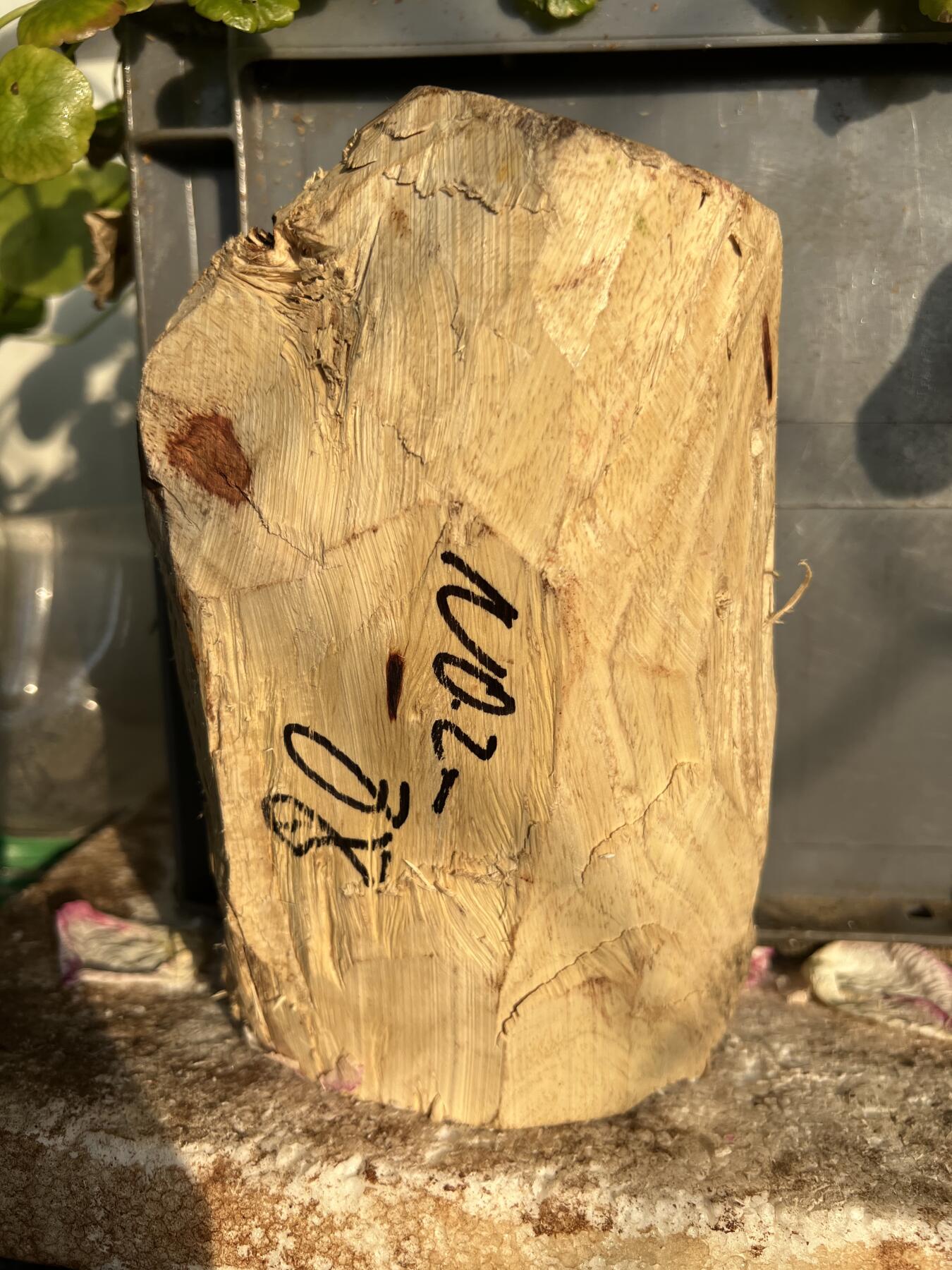 零元拍：NO.2-88海南黄花梨，根料，细腻花纹紧实，快到紫梨的感觉。185/90/40MM