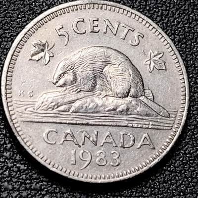 泉币菌-第192场- 除夕专场-新年快乐 本场拍品多 请提前出价（年后发货） - 1983年 加拿大5分 海狸动物 21mm 