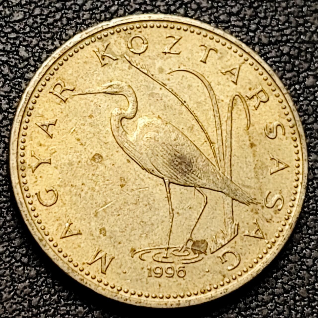 泉币菌-第192场- 除夕专场-新年快乐 本场拍品多 请提前出价（年后发货） 大白鹭 1996年 匈牙利5福林铜镍锌硬币 21.2mm4.2g