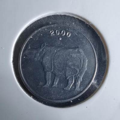 沼泽如烟--第995场 - 印度2000年25派沙