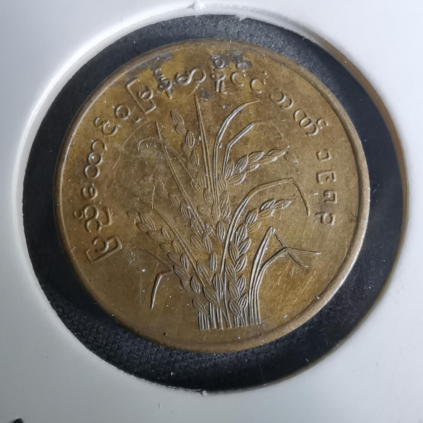 沼泽如烟--第994场 缅甸