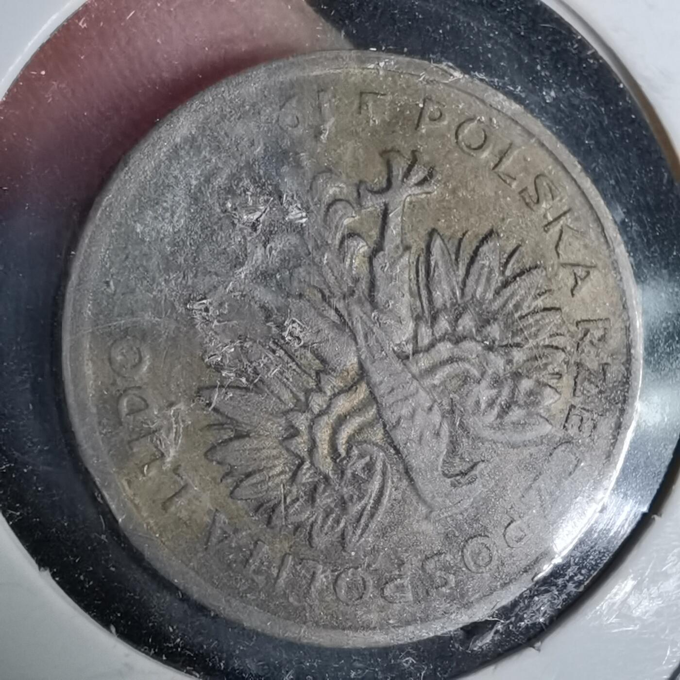 沼泽如烟--第993场 波兰2兹罗提