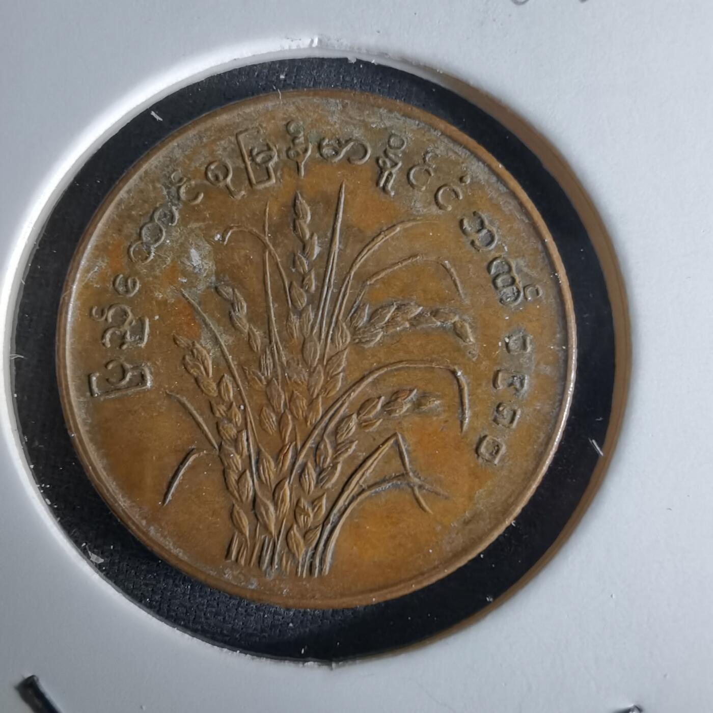 沼泽如烟--第994场 缅甸