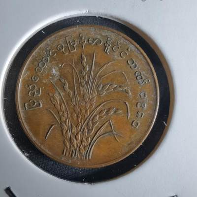 沼泽如烟--第994场 - 缅甸