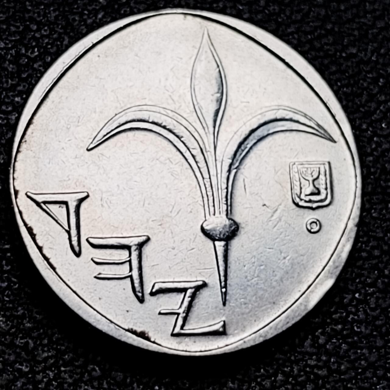 泉币菌-第192场- 除夕专场-新年快乐 本场拍品多 请提前出价（年后发货） 以色列1新谢克尔铜镍币  18.0毫米 4.05克 