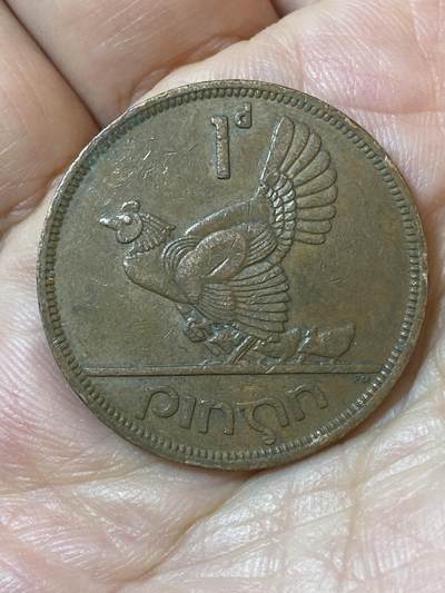 2026年第二十五场(总第一百九十四场）外国好品散币场(免佣金) - 爱尔兰🇮🇪1966年1便士(共和国时期第一套)