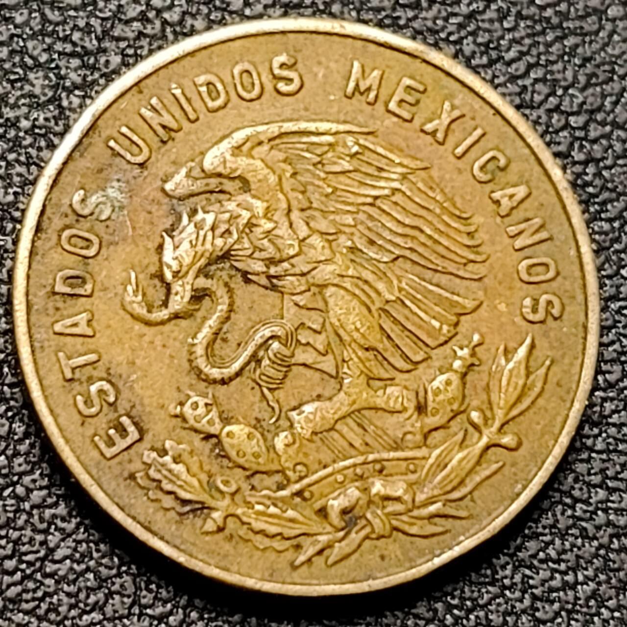 泉币菌-第192场- 除夕专场-新年快乐 本场拍品多 请提前出价（年后发货）