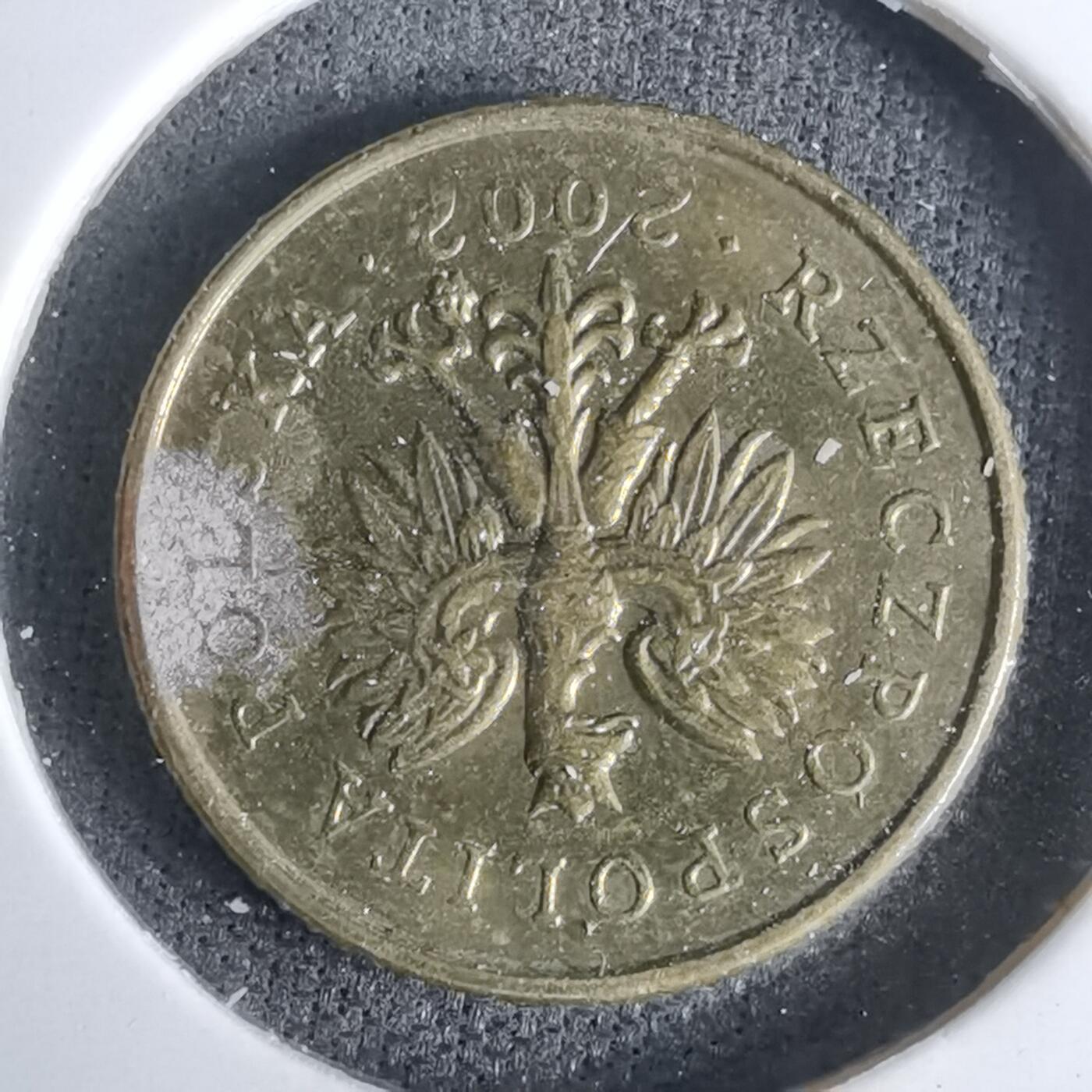 沼泽如烟--第994场 波兰2002年1格罗申