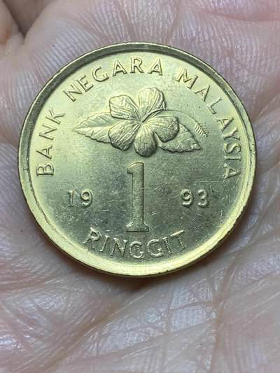 2026年第二十七场(总第一百九十六场）外国好品散币场(免佣金) - 马来西亚🇲🇾1993年1林吉特(独立后第二版无货币符号版)
