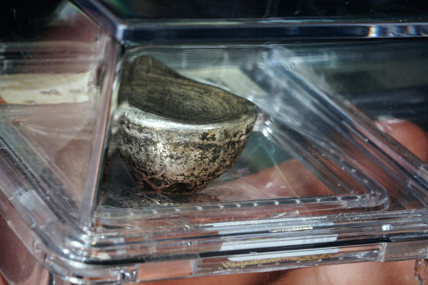 上海都达杂项专场二十九【年后发货全场包邮】