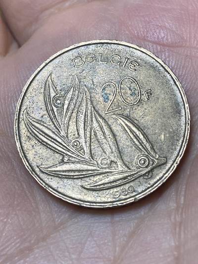 2026年第二十六场(总第一百九十五场）外国好品散币场(免佣金) - 比利时🇧🇪1980年20法郎(博杜安一世，荷语版)