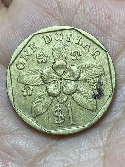 2026年第二十七场(总第一百九十六场）外国好品散币场(免佣金) - 新加坡🇸🇬1989年1元(独立后第三版，高盾哭脸版)