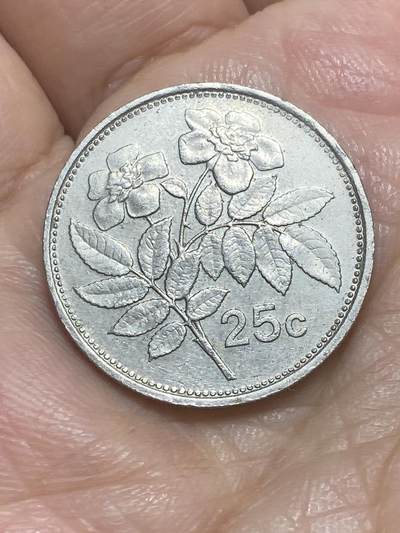 2026年第二十六场(总第一百九十五场）外国好品散币场(免佣金) - 马耳他🇲🇹1993年25分(第三套流通硬币)