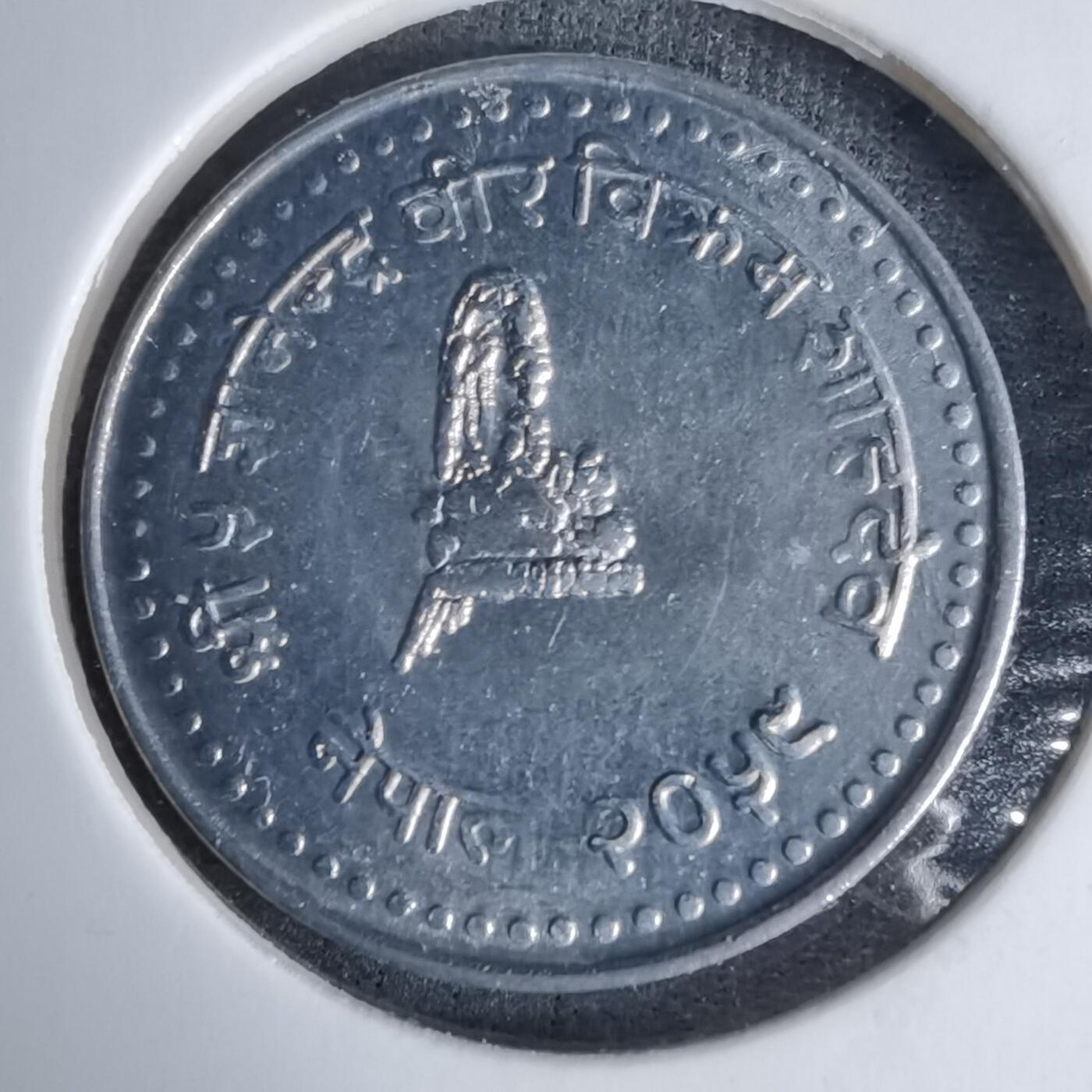 沼泽如烟--第996场