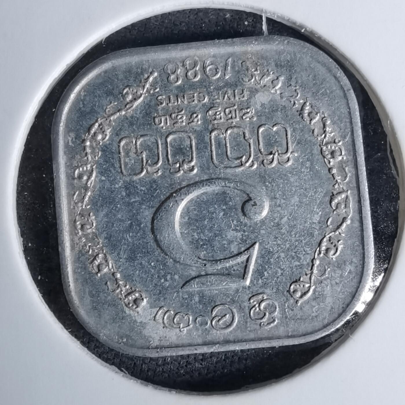 沼泽如烟--第996场