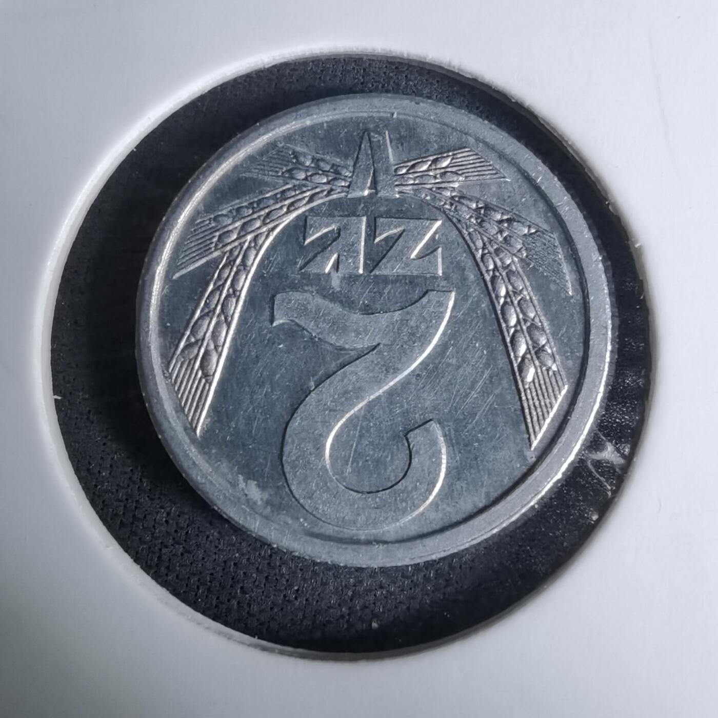 沼泽如烟--第996场