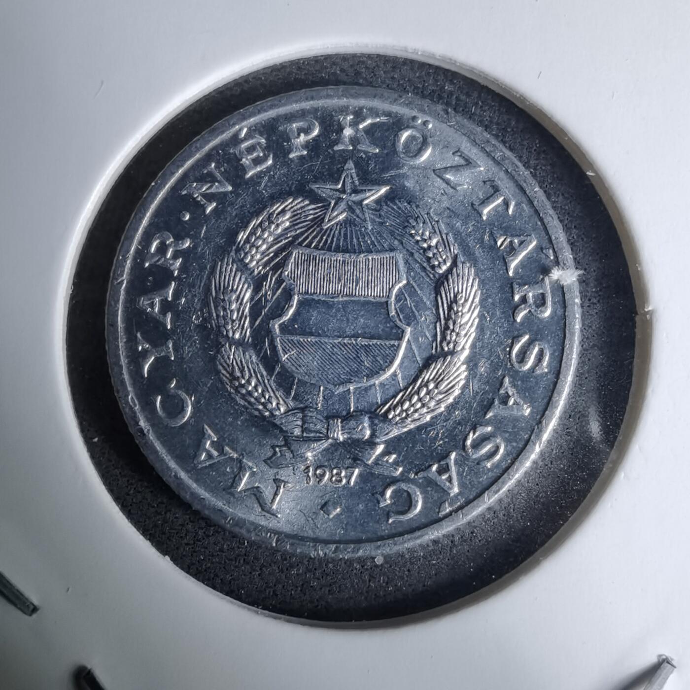 沼泽如烟--第996场