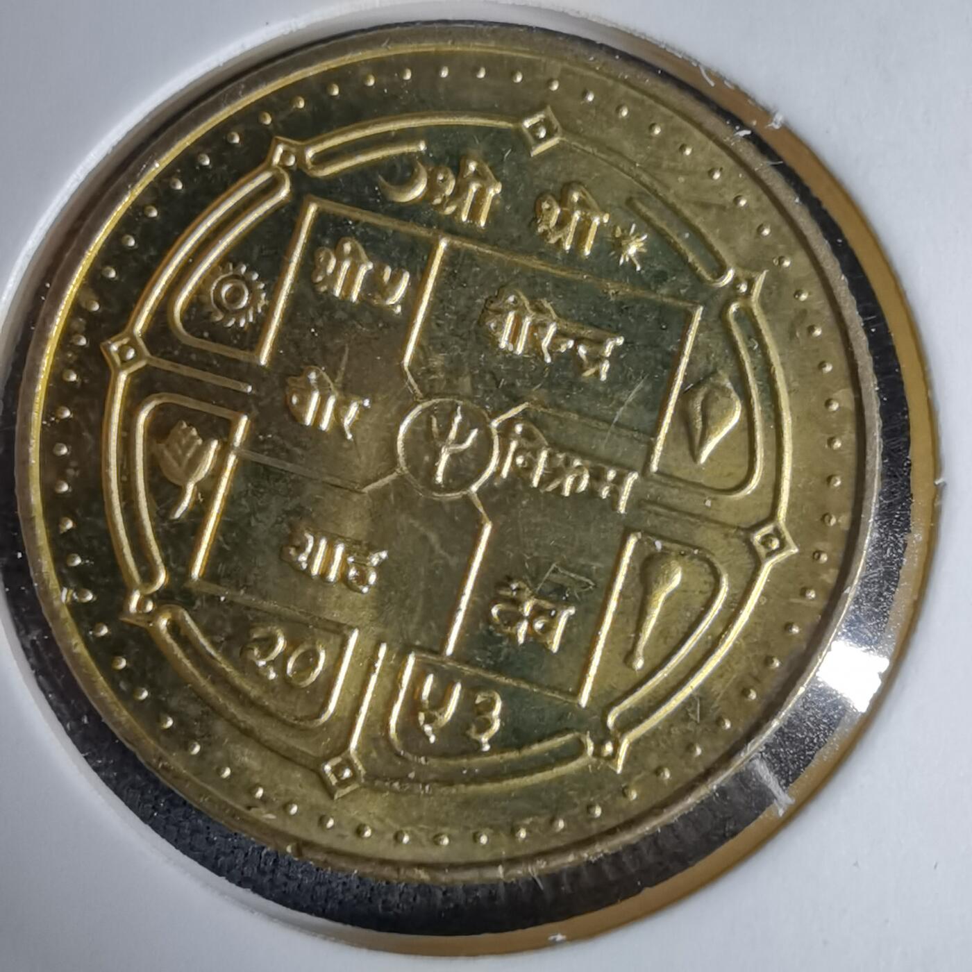 沼泽如烟--第996场