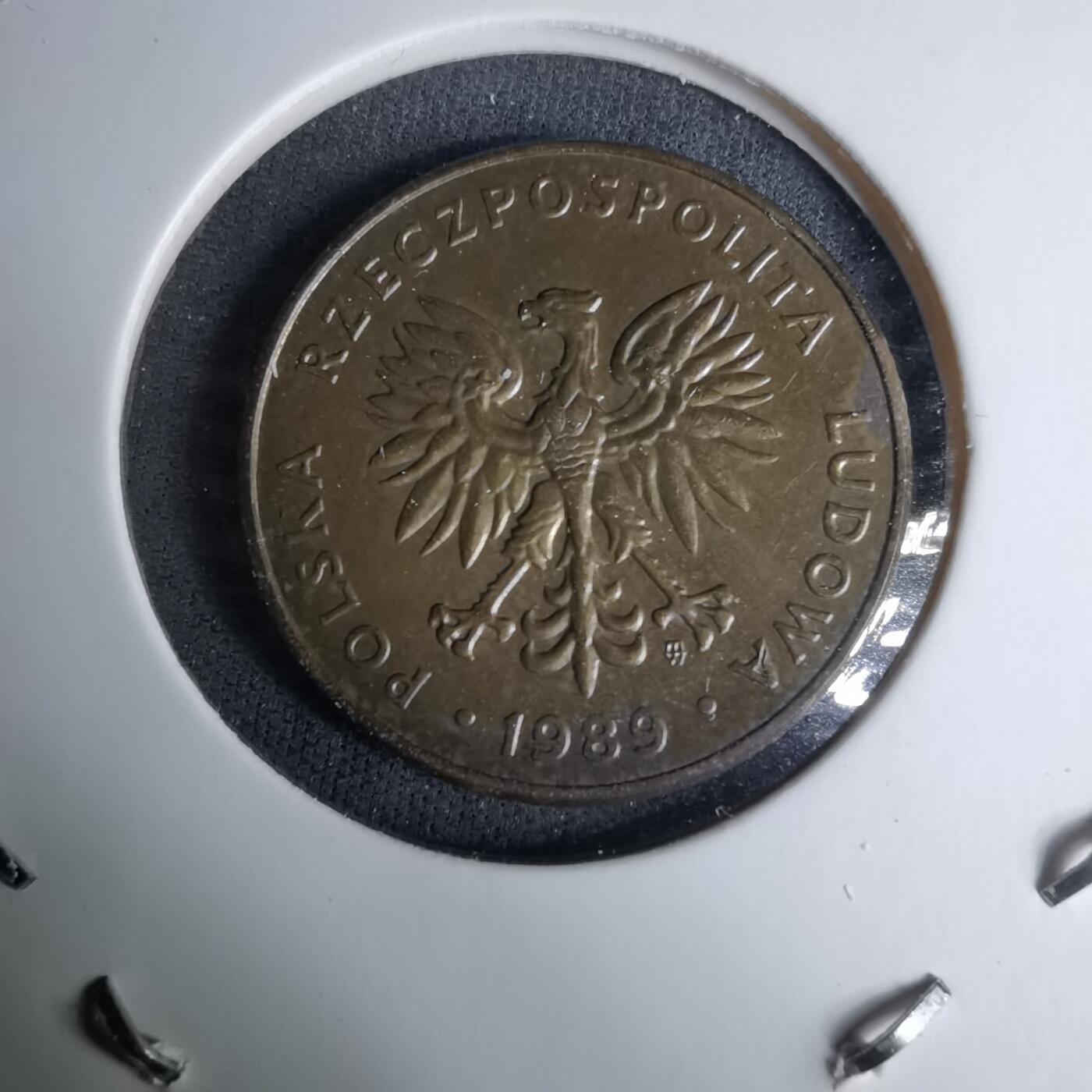 沼泽如烟--第996场