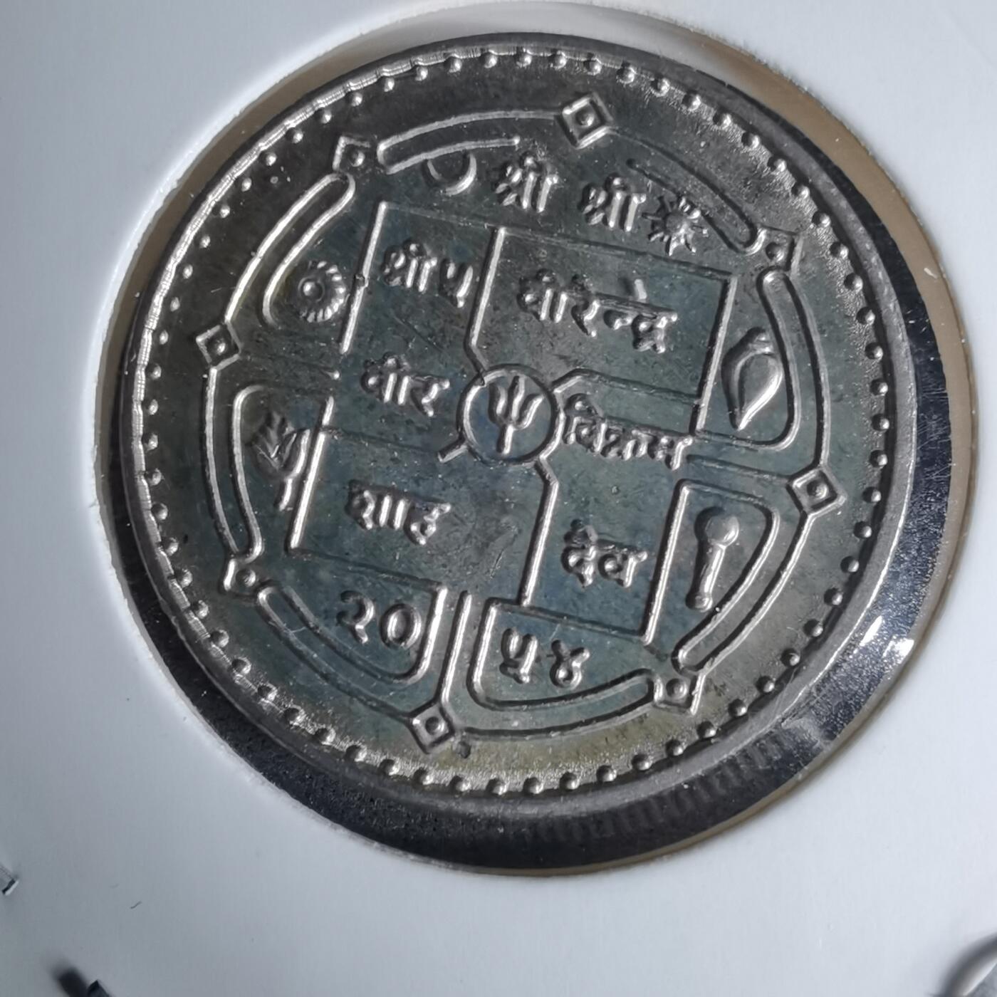 沼泽如烟--第996场