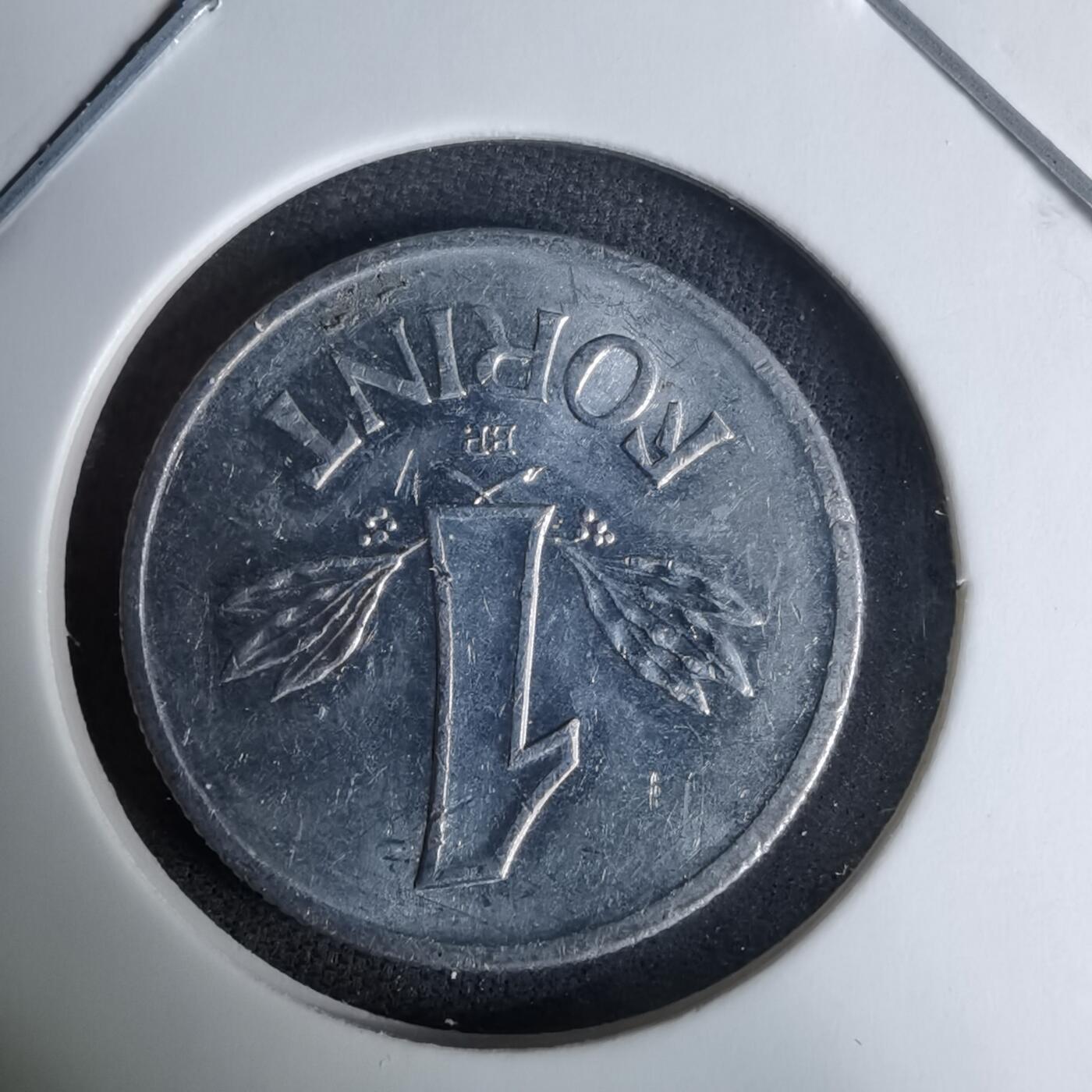 沼泽如烟--第996场