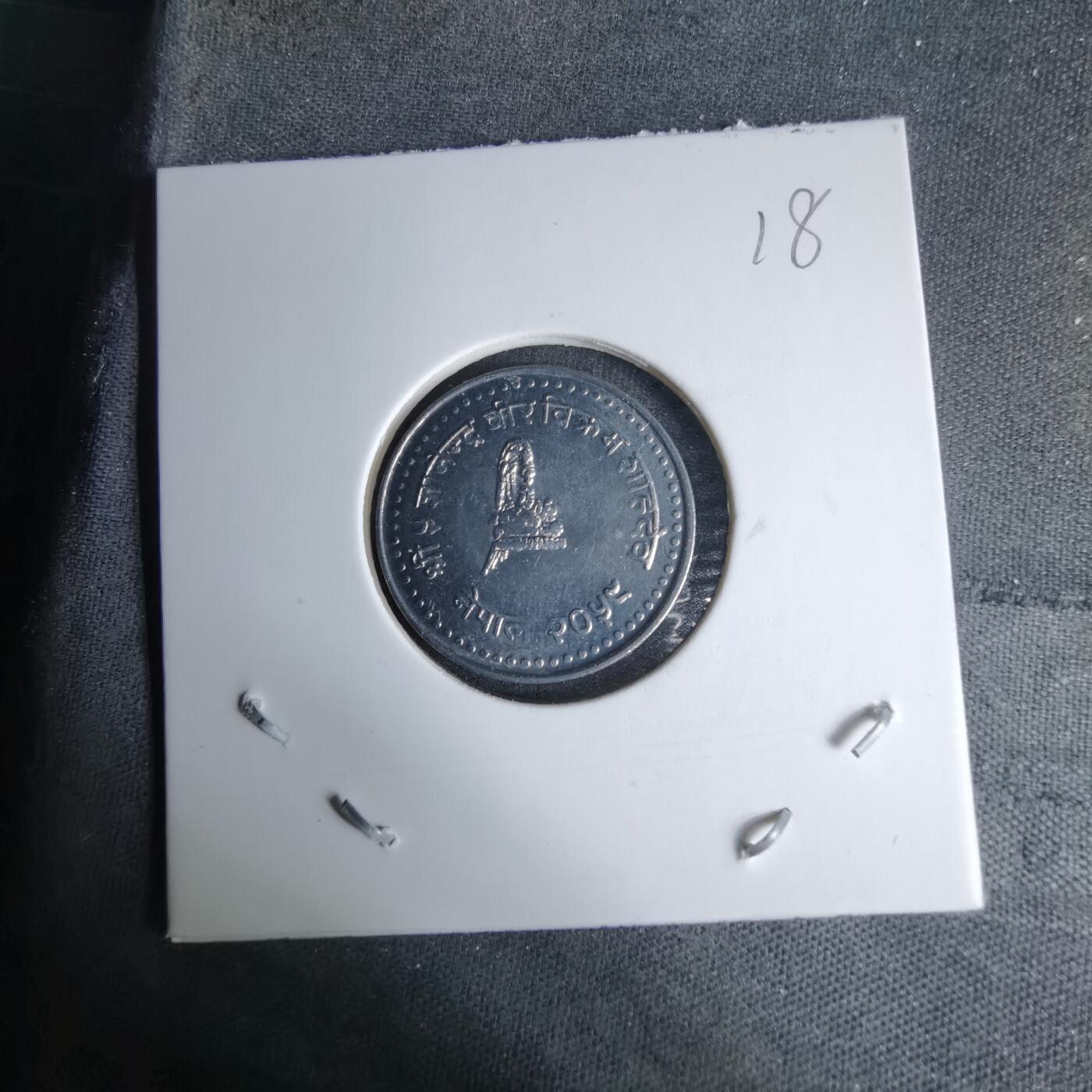 沼泽如烟--第996场