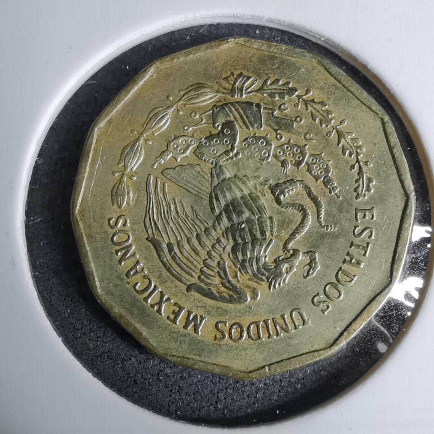 沼泽如烟--第996场 墨西哥1997年20分