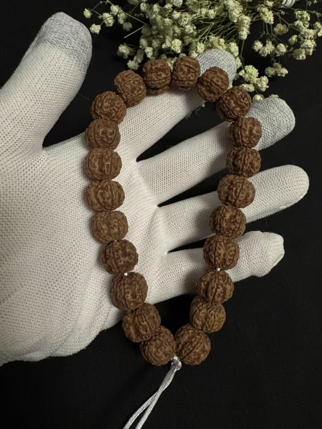 零元拍：超大龙花金刚手持，爆红爆肉，18.5/16左右