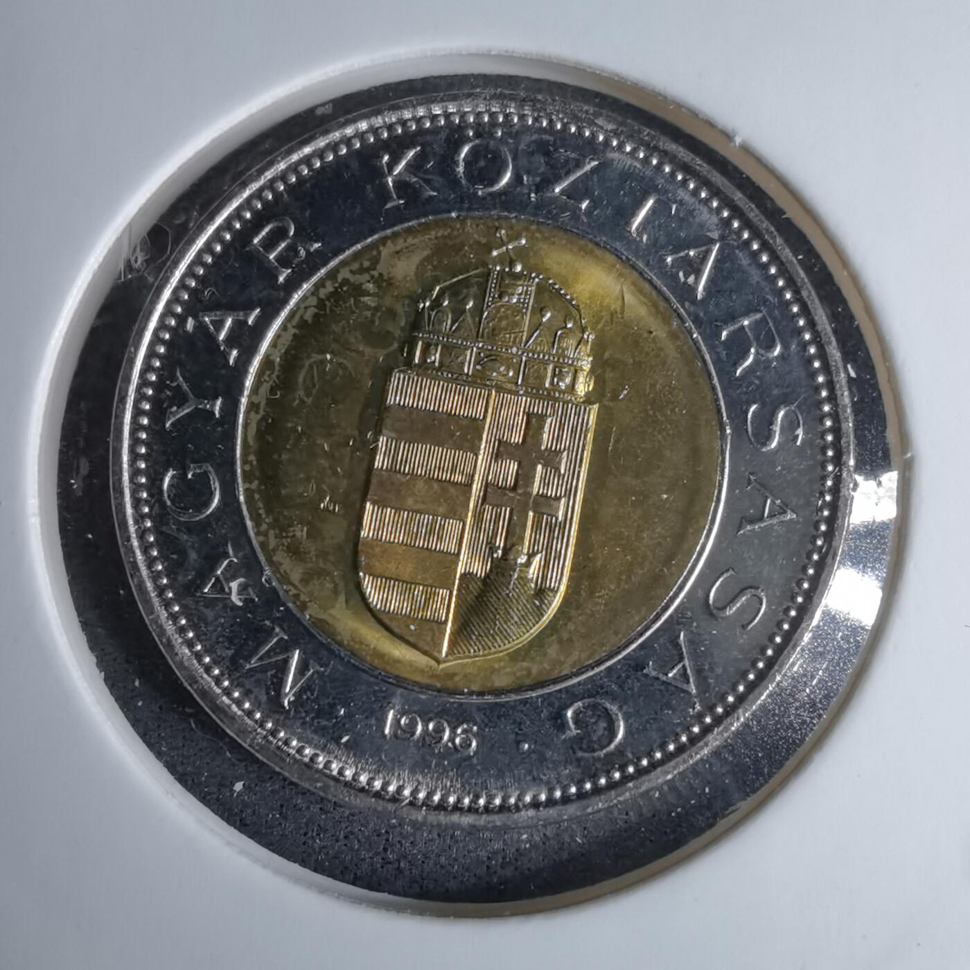 沼泽如烟--第996场