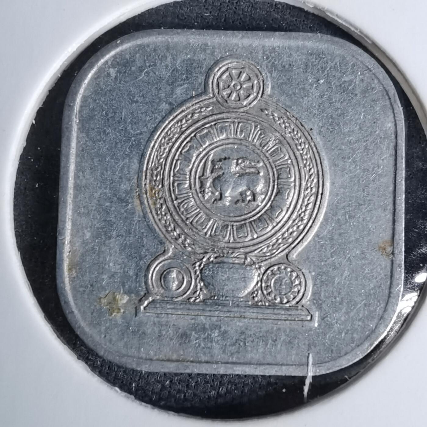 沼泽如烟--第996场