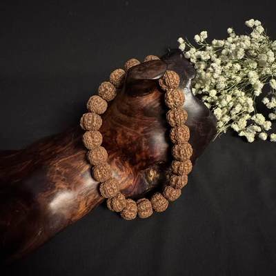 零元拍：超大龙花金刚手持，爆红爆肉，18.5/16左右 - 零元拍：超大龙花金刚手持，爆红爆肉，18.5/16左右