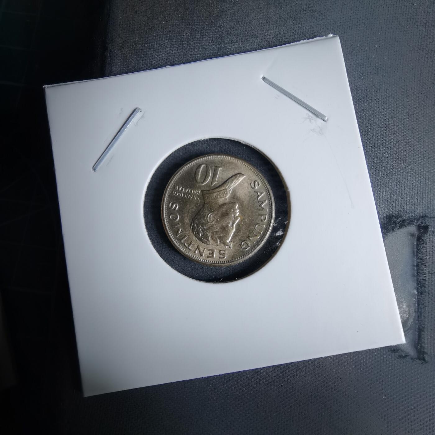 沼泽如烟--第996场