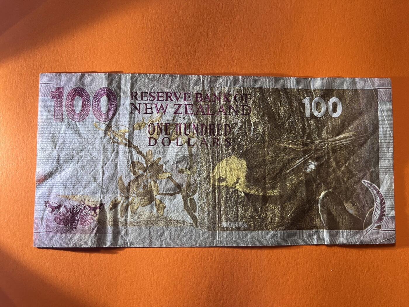 世界各国纸币拍卖 1992年 新西兰100元 实物图