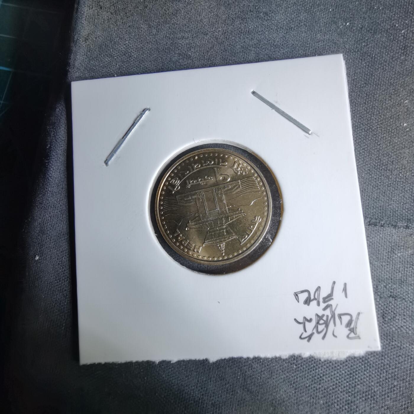 沼泽如烟--第996场