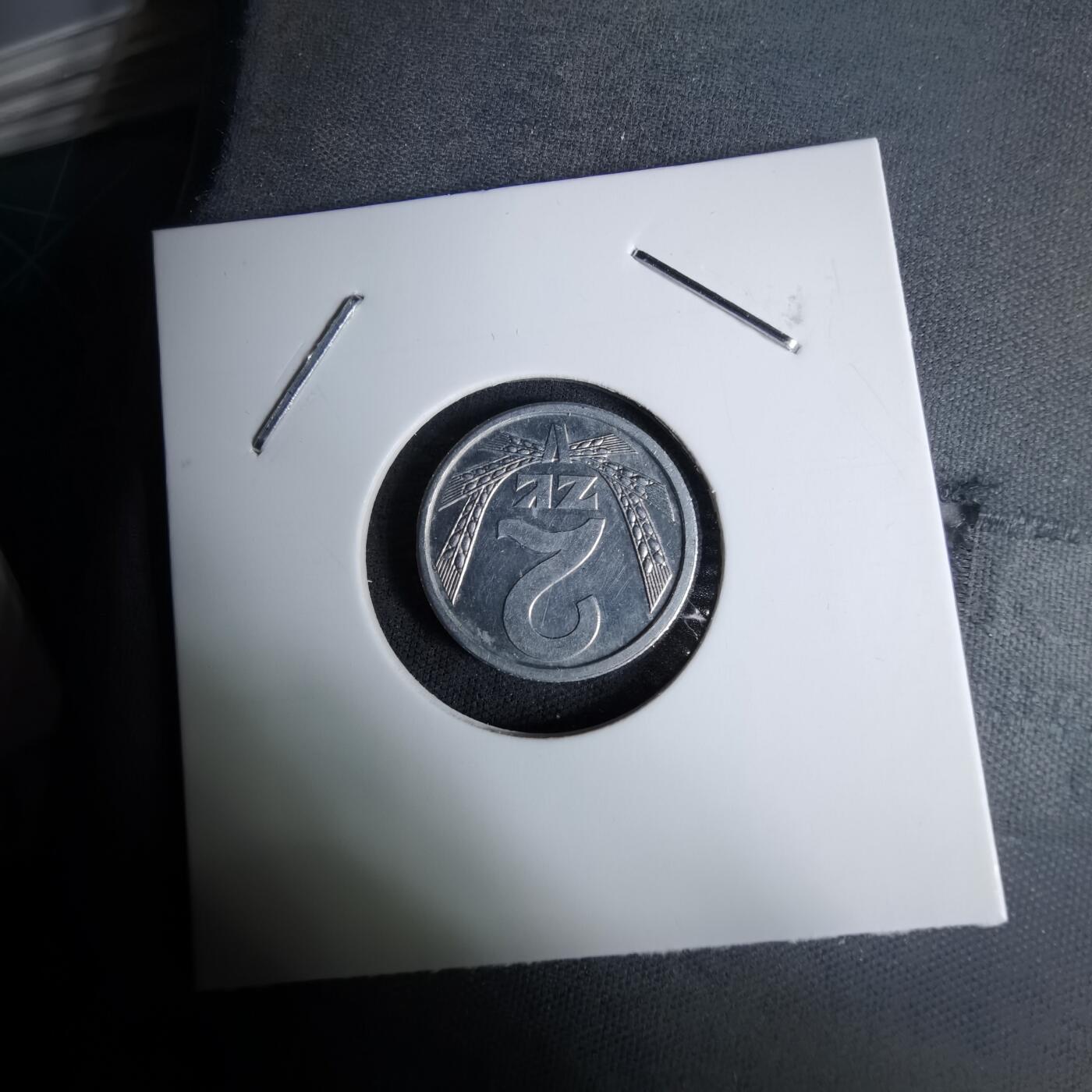 沼泽如烟--第996场