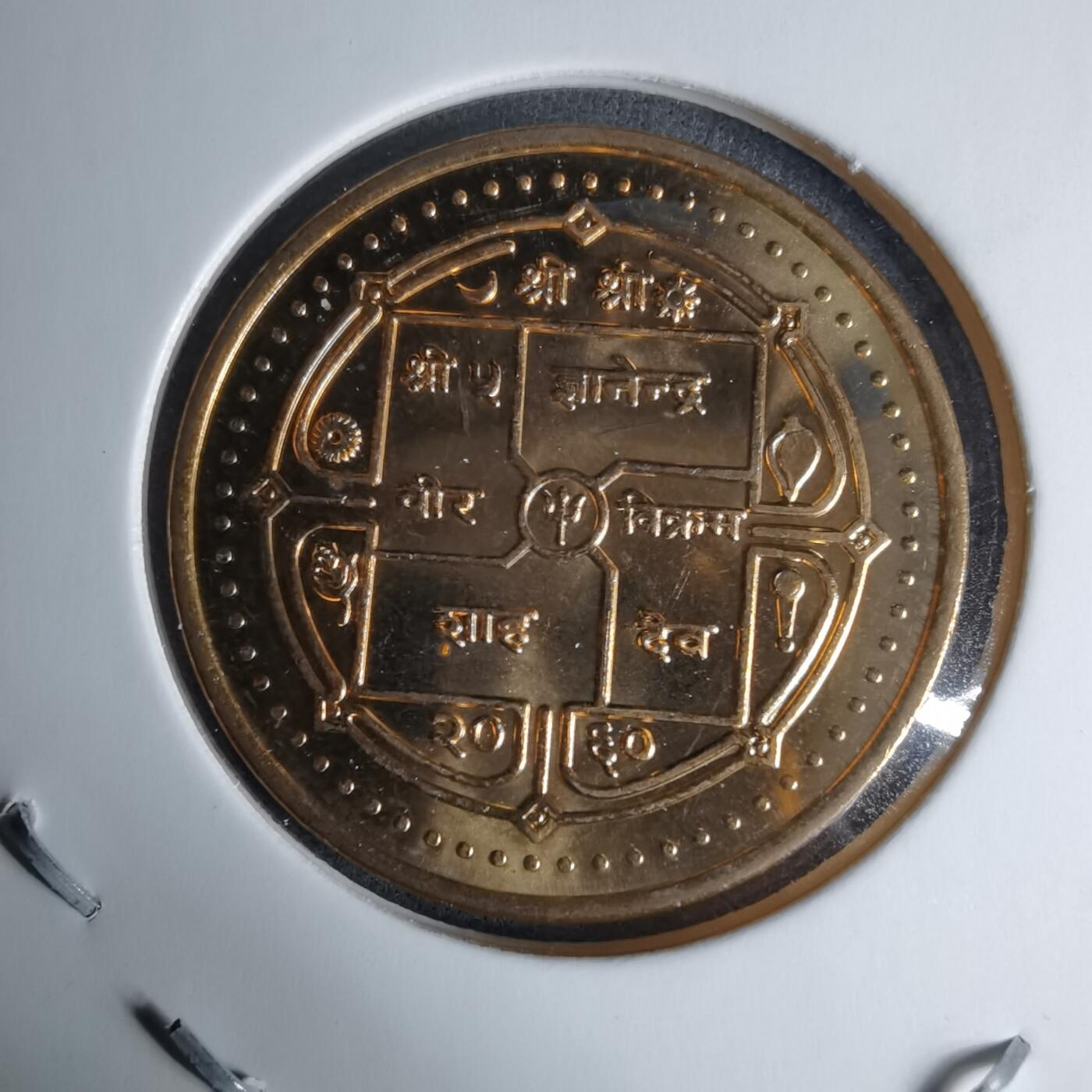 沼泽如烟--第996场