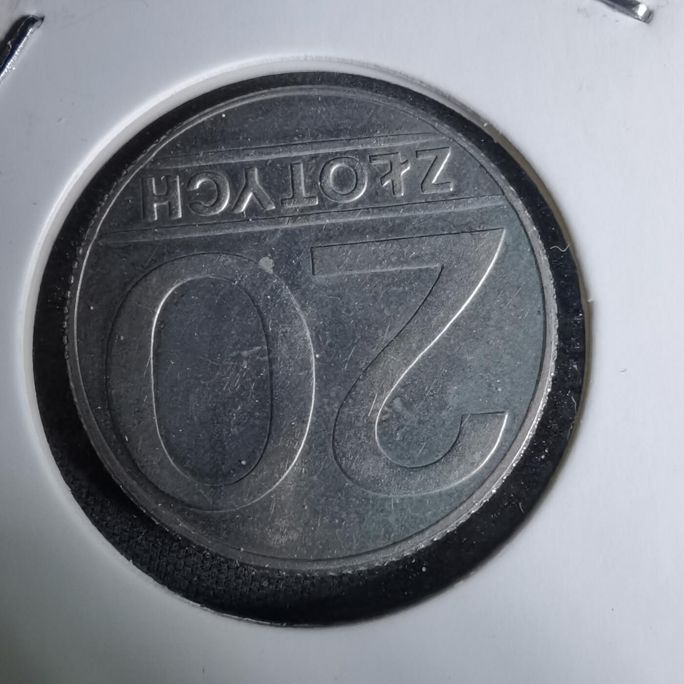 沼泽如烟--第996场