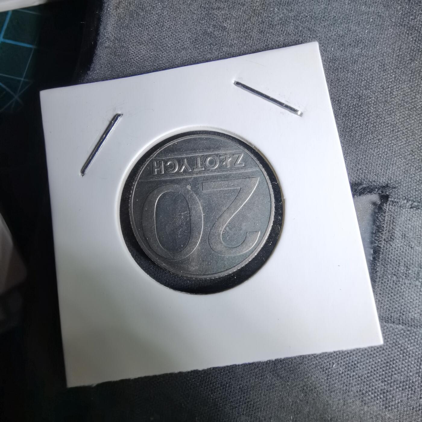 沼泽如烟--第996场