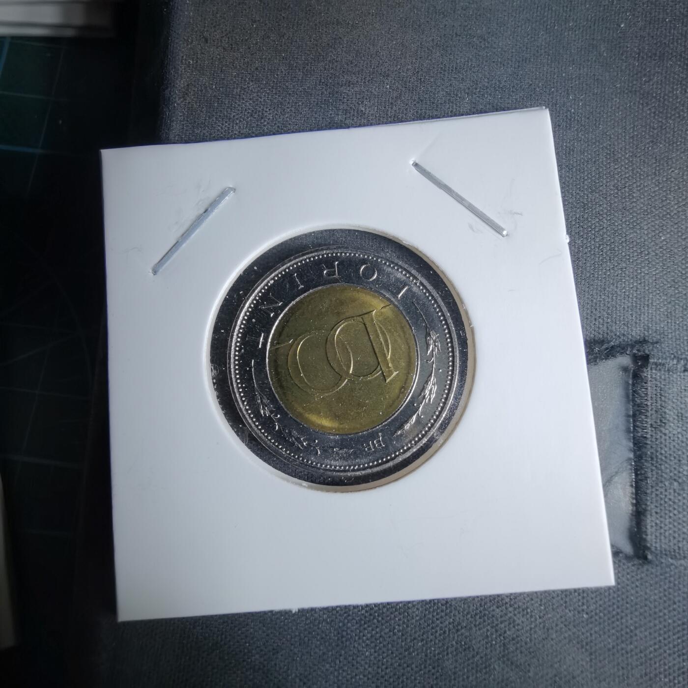 沼泽如烟--第996场