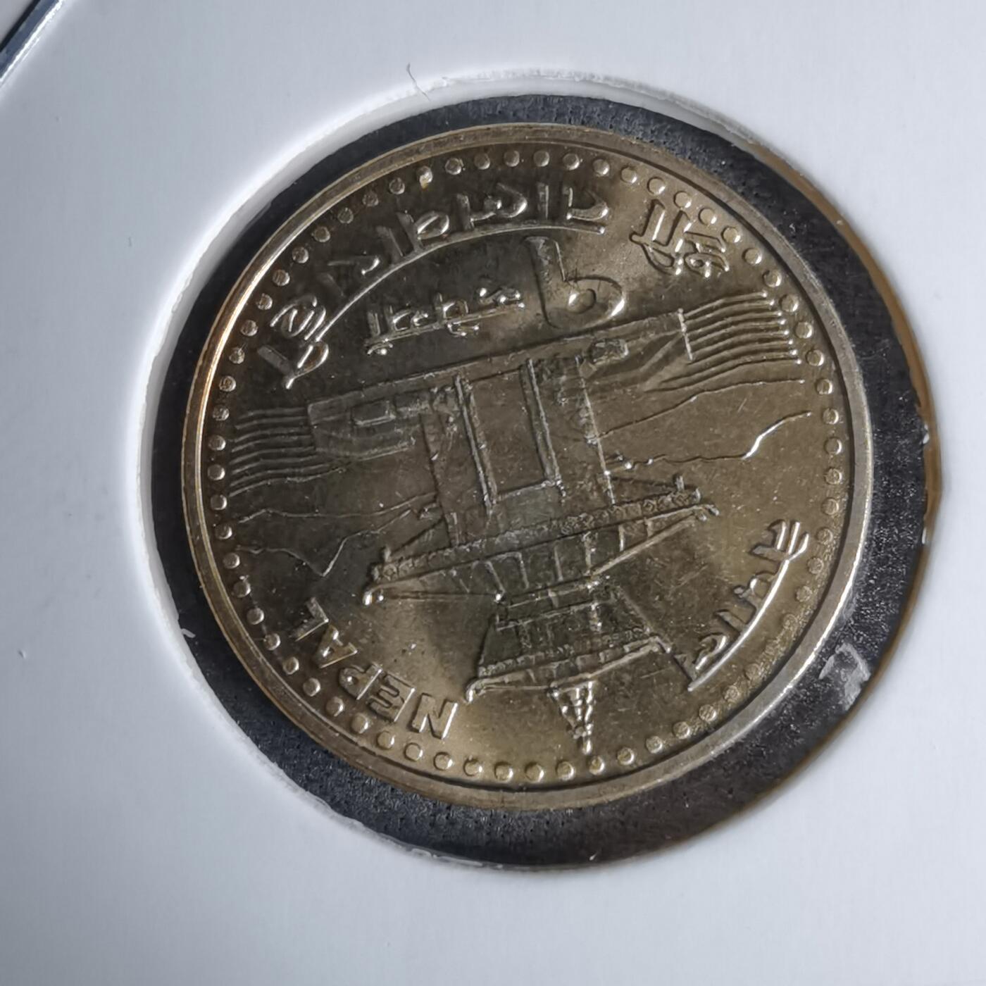 沼泽如烟--第996场