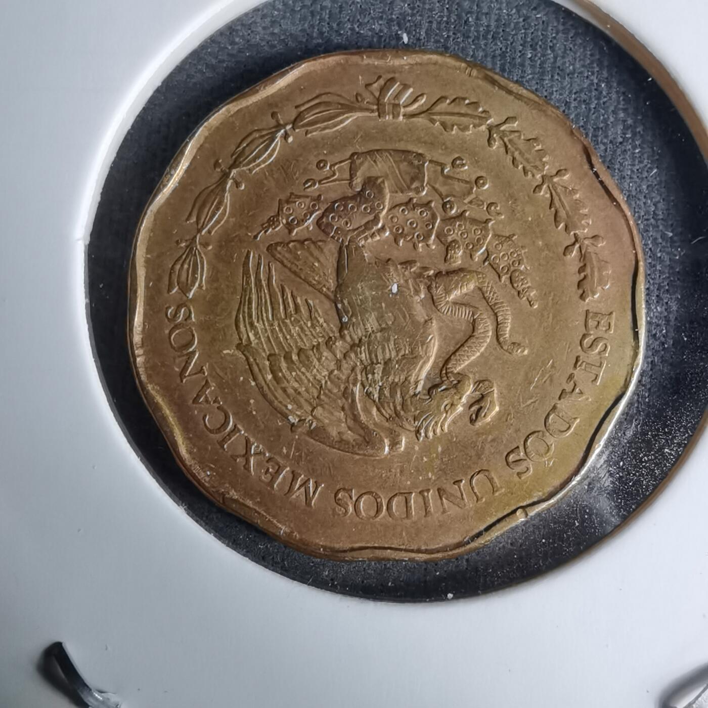 沼泽如烟--第996场 墨西哥1993年50分