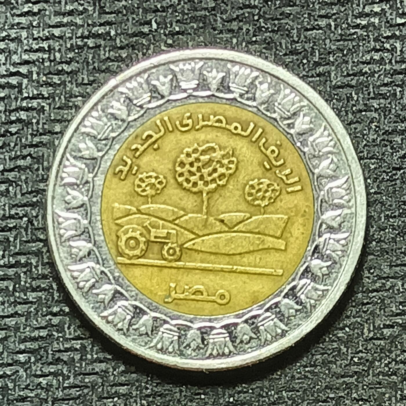 逸泉钱币2026年B组世界各国纪念币硬币第十一场1616-1886 1793埃及1镑