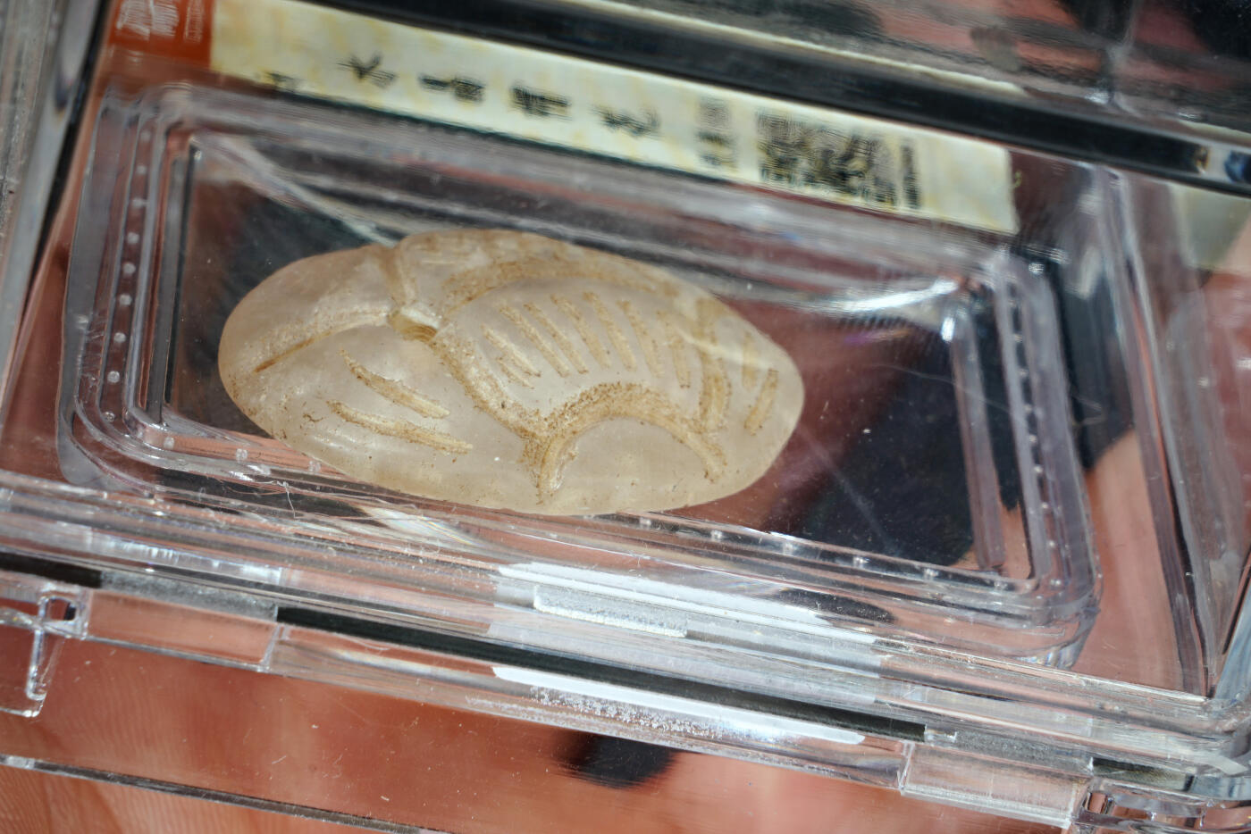 上海都达杂项专场二十九【全场包邮】